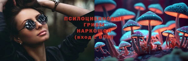 гашик Аркадак