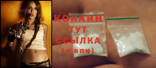 прущий лед Михайлов