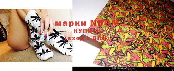 гашик Аркадак