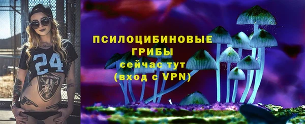 спайс Арсеньев