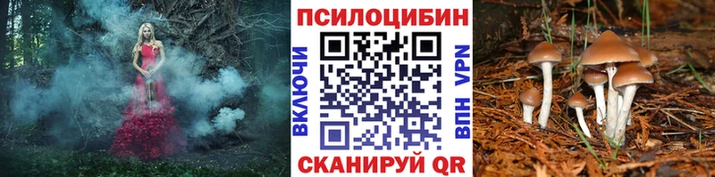 Галлюциногенные грибы Cubensis  Татарск 